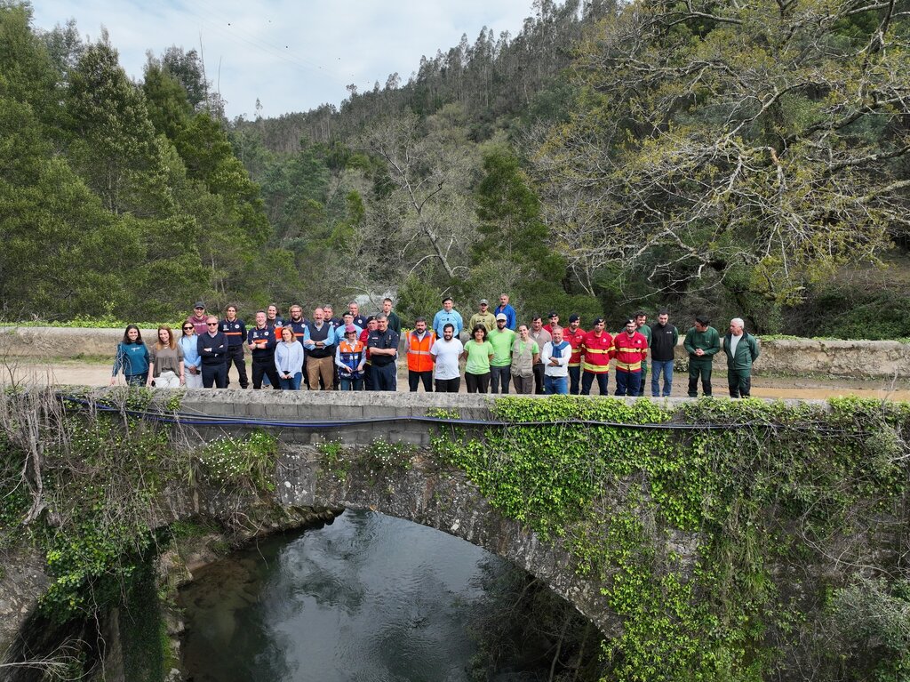 Primavera em Albergaria-a-Velha com mais árvores plantadas