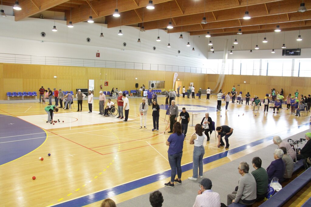 Anadia acolheu Encontros de Boccia