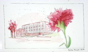 50 anos do 25 de Abril na Região de Aveiro