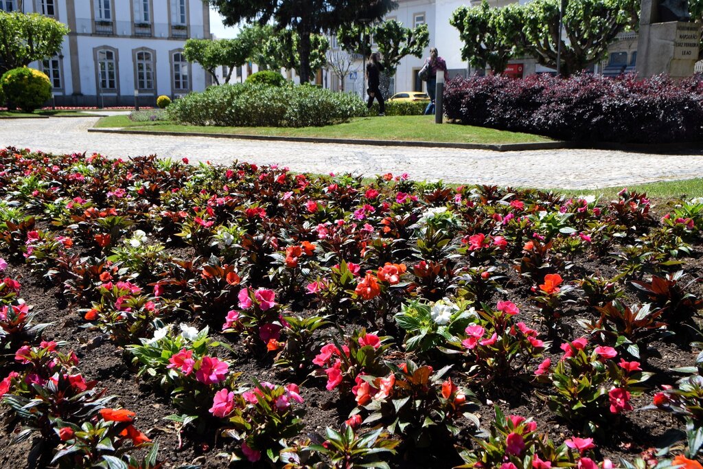 O encanto dos jardins de Albergaria-a-Velha