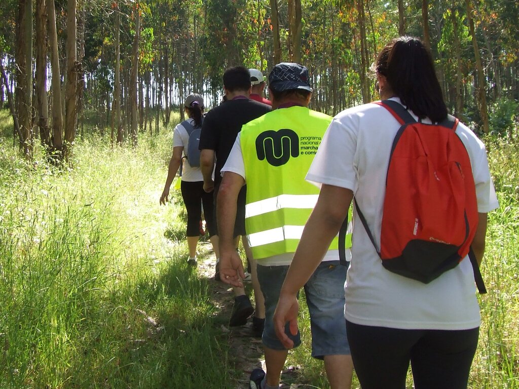 Caminhada e Cãominhada | 12 de maio