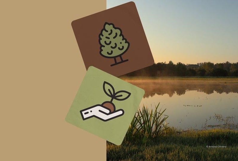 "Invasoras da Pateira de Frossos” em exposição