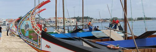 Oficializada a candidatura UNESCO do “Barco Moliceiro: Arte Carpintaria Naval da Região de Aveiro”