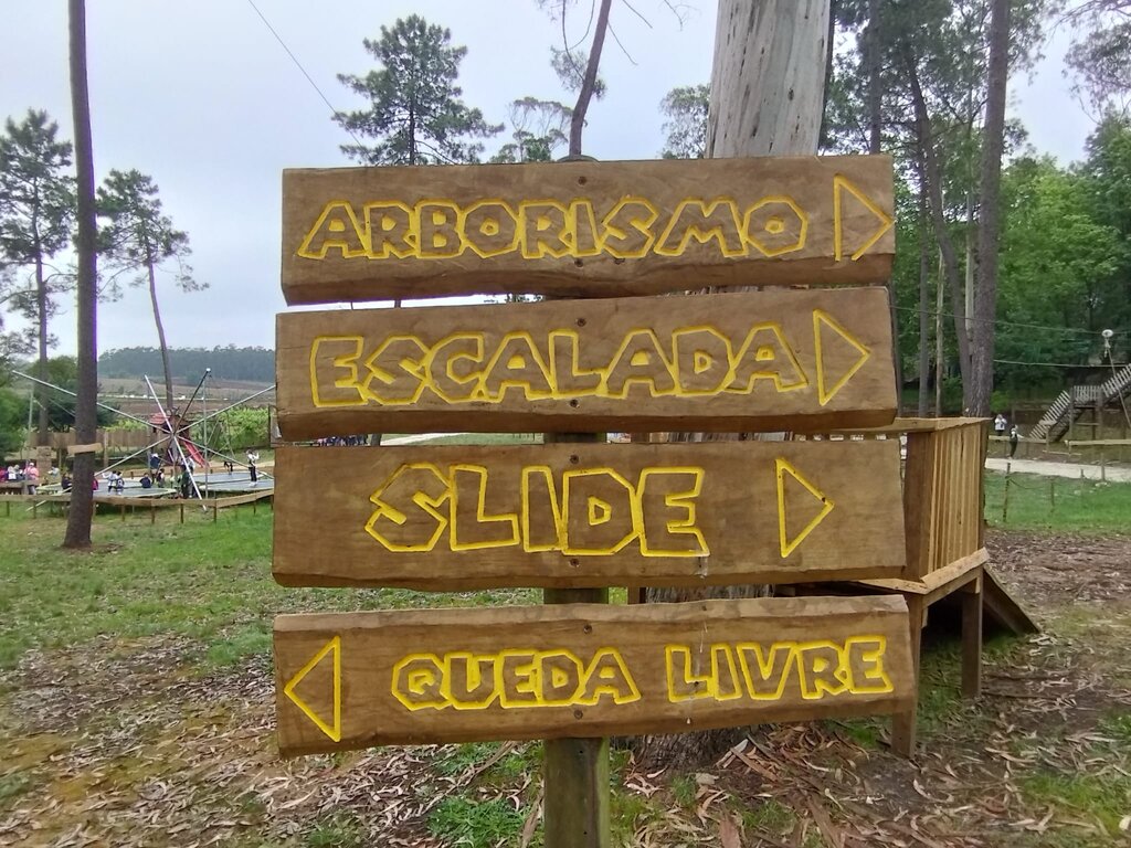 Município oferece viagem de finalistas a mais de 700 alunos do Concelho