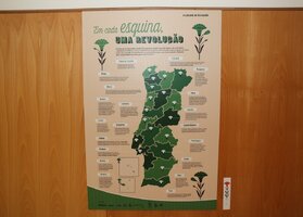 Exposição "O Legado de um Cravo"