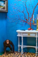 Exposição “Caixa Assombrada”