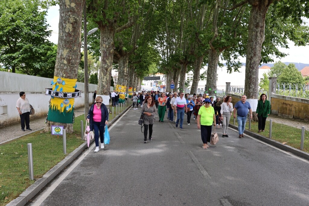 “O Social abraça Anadia” embeleza a cidade