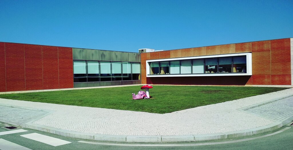 16.º aniversário da Biblioteca Municipal