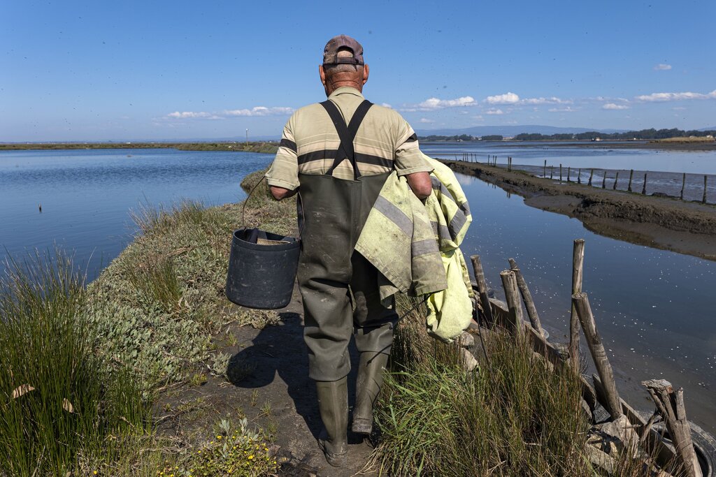 Derivas na Ria: Um Roteiro para descobrir Aveiro