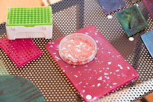 Processo inovador de reciclagem de resíduos  em exposição em Aveiro