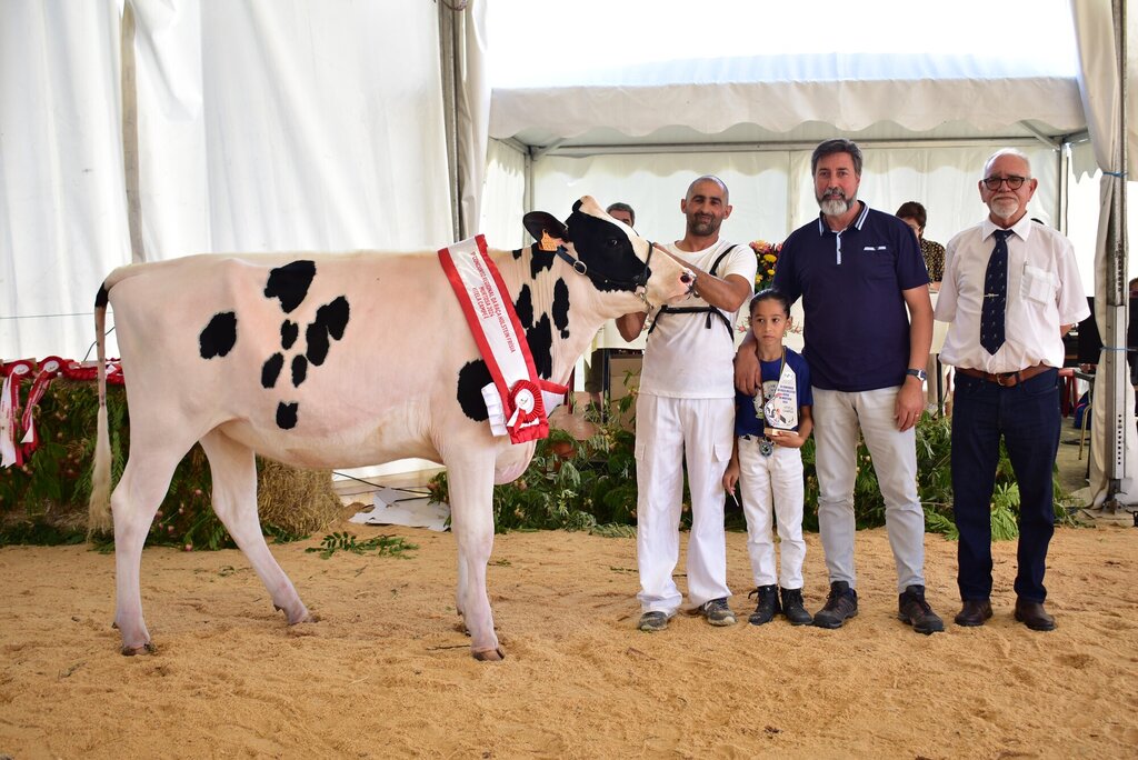 IX CONCURSO REGIONAL DA RAÇA HOLSTEIN FRÍSIA – ANIMAIS JUVENIS E JOVENS