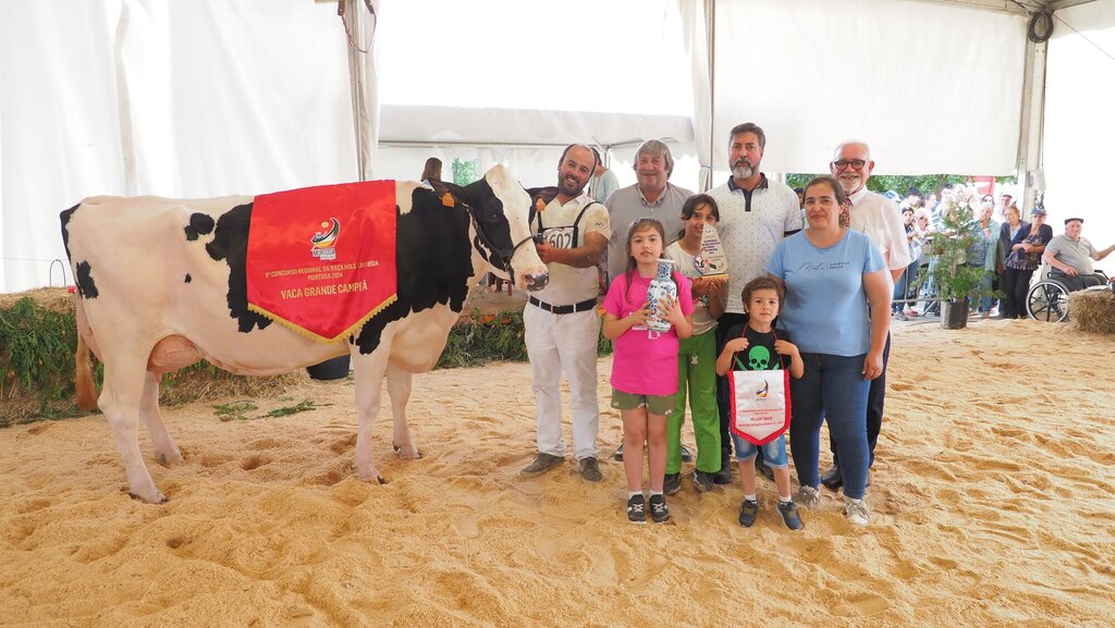  IX CONCURSO REGIONAL DA RAÇA HOLSTEIN FRÍSIA – ANIMAIS ADULTOS