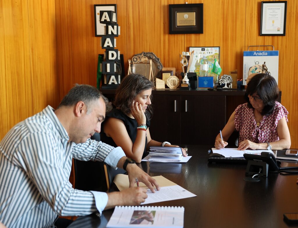 Construção de 21 habitações em Sangalhos   