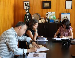 Construção de 21 habitações em Sangalhos   