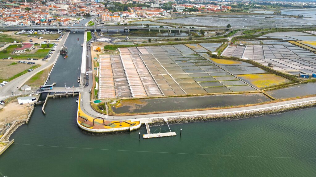 Jornal britânico The Times elege Aveiro como um dos lugares mais bonitos de Portugal