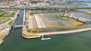 Jornal britânico The Times elege Aveiro como um dos lugares mais bonitos de Portugal