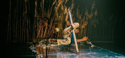 Programação de setembro do Teatro Aveirense com cinco estreias absolutas e uma estreia nacional