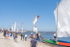 O Barco Moliceiro e a Arte da Carpintaria Naval em Candidatura à UNESCO