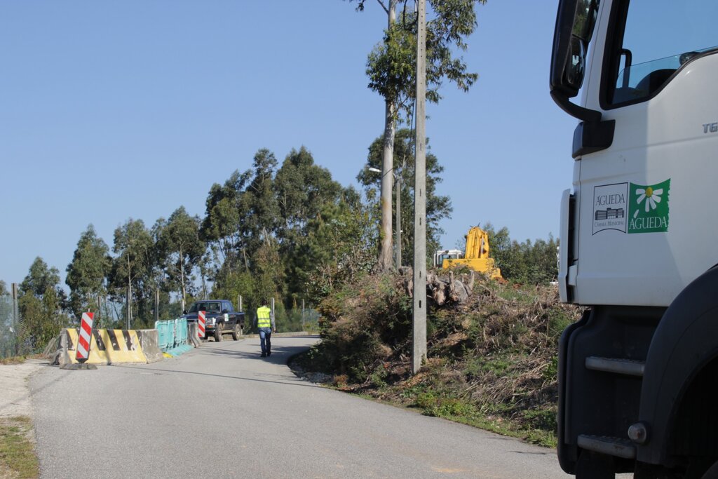 Câmara Municipal iniciou obras na estrada que liga Landiosa ao Carqueijo