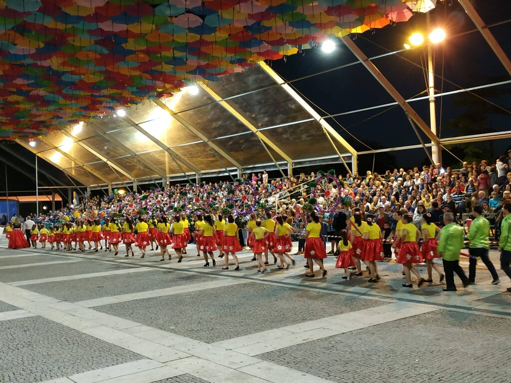 Marchas Tradicionais coloriram as ruas de Águeda