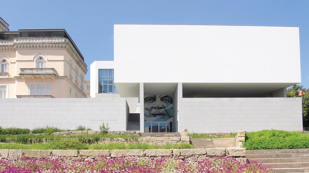 A Biblioteca Municipal Manuel Alegre completa dez anos de atividade!