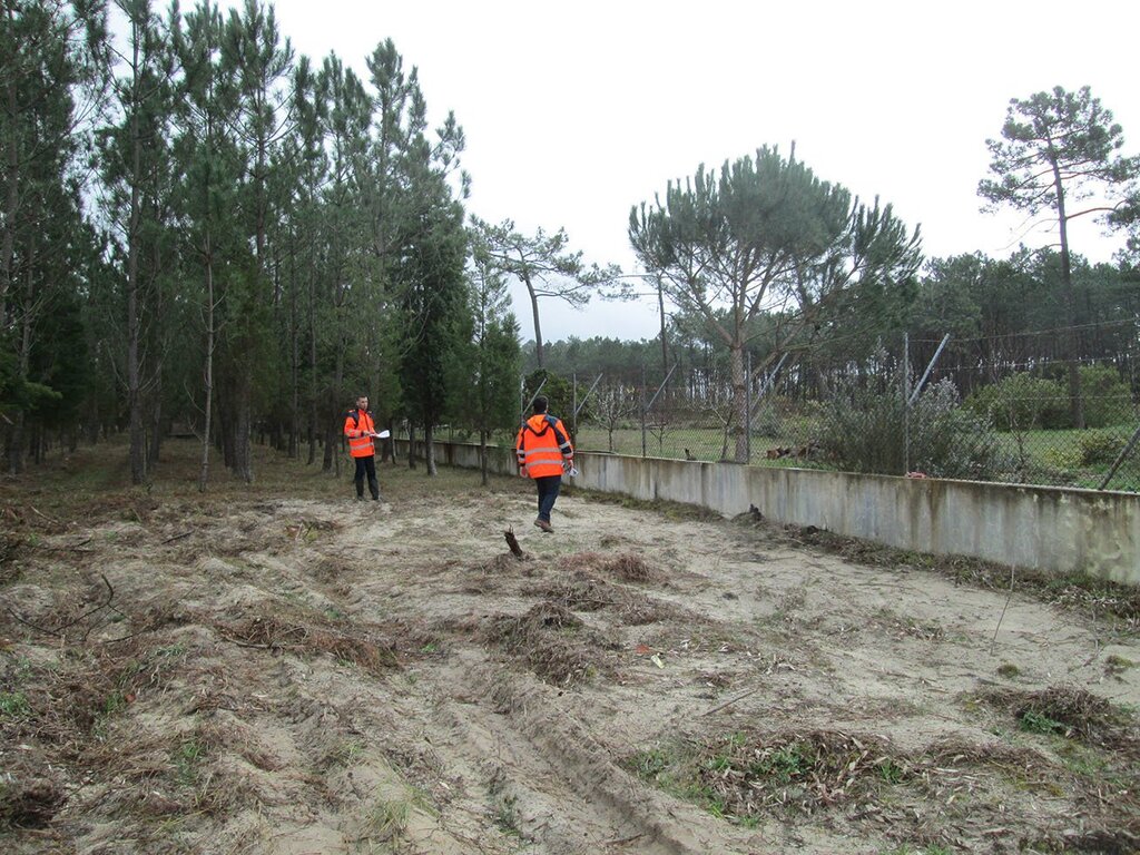 Município de Vagos alerta população para a limpeza de terrenos