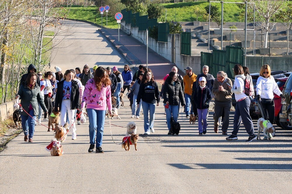 Cãominhada na natureza | 13 de abril