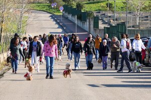 Cãominhada na natureza | 13 de abril