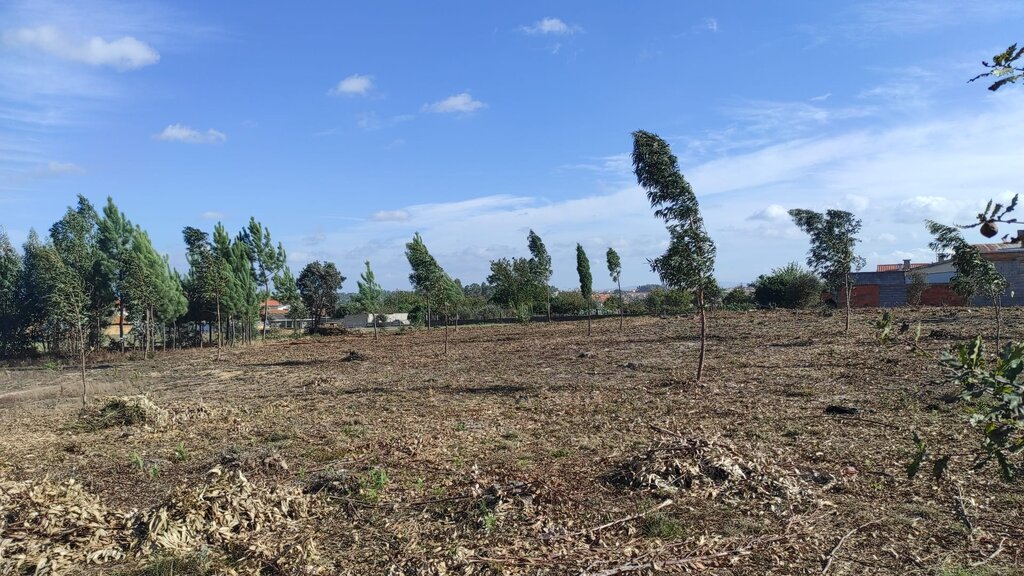 Faixas de Gestão de Combustível | Rede secundária