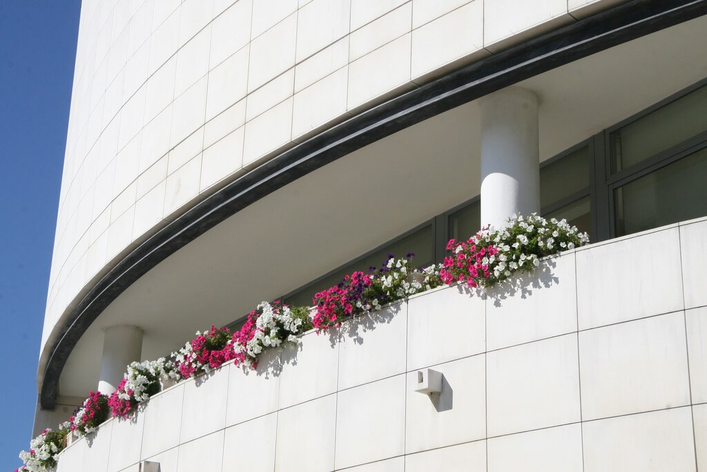 Serviços Municipais encerrados na 2.ª feira, 21 de abril