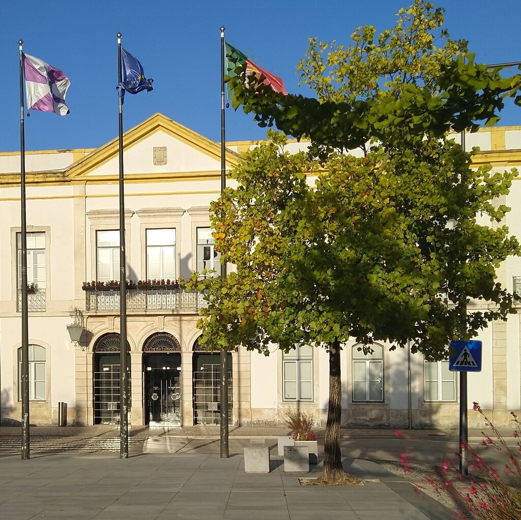 Aprovação do Relatório e Contas de 2024