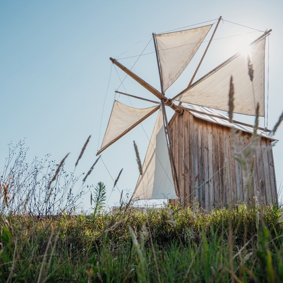 VAGOS RECEBE A PRIMEIRA EDIÇÃO DO MAIOR FESTIVAL DEDICADO  AOS MOINHOS EM PORTUGAL