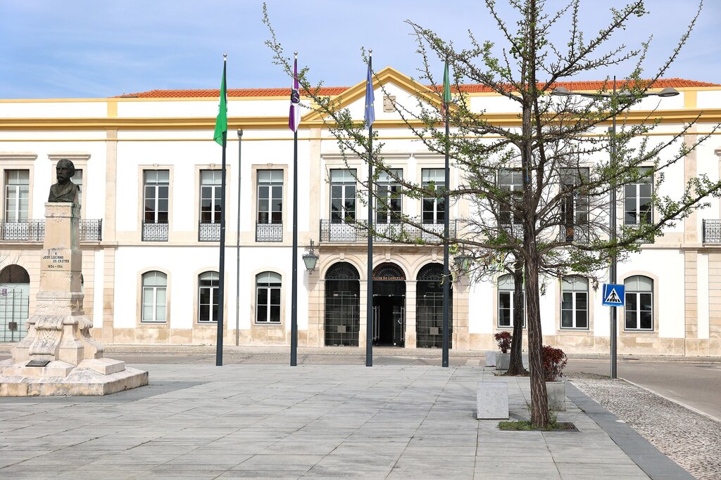 Município apoia IPSS