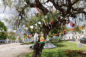 “O Social abraça Anadia” com inscrições abertas