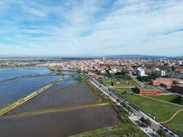 Câmara de Aveiro atribui novo apoio a através do Fundo de Apoio a Famílias