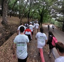 Município promove caminhada “Anadia + Verde”