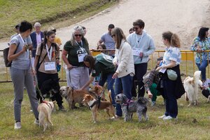 Expo Animal Solidária proporcionou momentos de cumplicidade com amigos de quatro patas