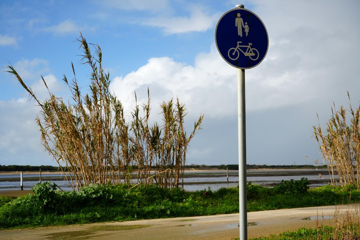 Caminhada Solidária apoia  Associação de Solidariedade  Social da Gafanha do Carmo