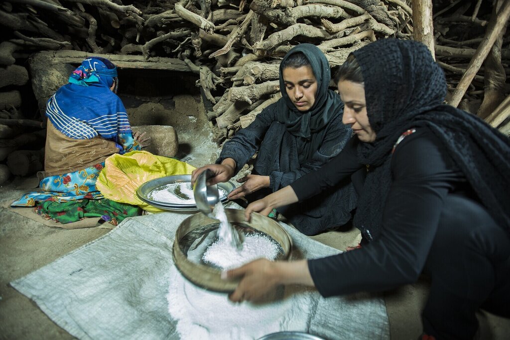 Irão e Egito são os vencedores do Festival de Cinema do Pão de Albergaria-a-Velha