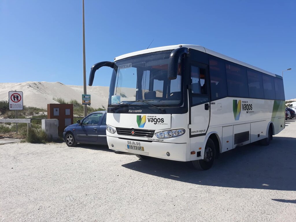 AUTOCARRO ANIMA VERANEANTES EM VAGOS
