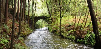 “Trilho dos Açudes” é o novo percurso pedestre no Concelho de Albergaria-a-Velha