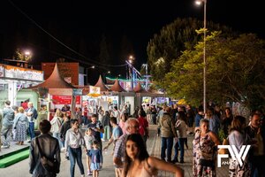 FVV com balanço muito positivo