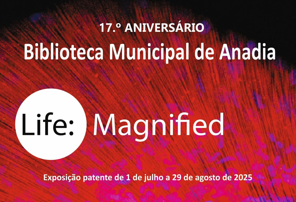 BMA mostra “Life: Magnified – Vida Ampliada”
