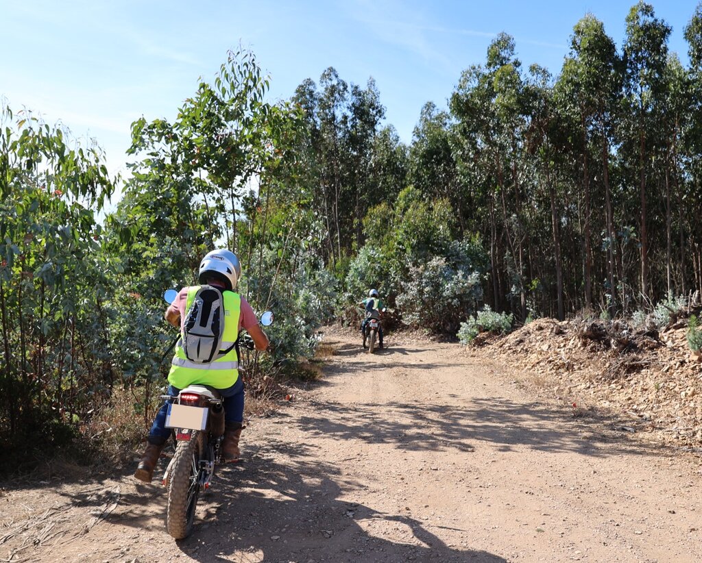 Vigilância móvel da floresta tem início a 1 de julho