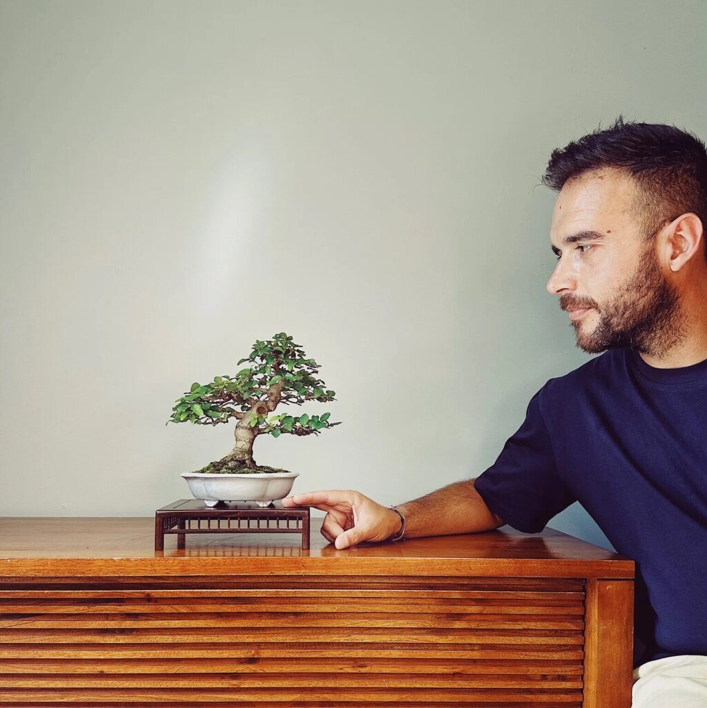 O impacto positivo da Arte Bonsai nas Empresas