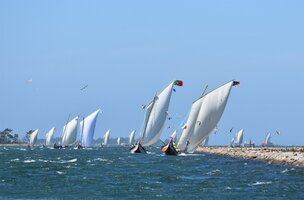  REGATA DE MOLICEIROS TORREIRA-AVEIRO É O PONTO ALTO DA PROGRAMAÇÃO DA "RIA DE AVEIRO WEEKEND"