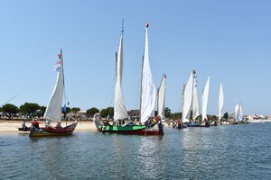 MARCO SILVA FOI O GRANDE VENCEDOR DA REGATA DO RIA DE AVEIRO WEEKEND