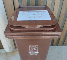 Albergaria-a-Velha recolhe 180 toneladas de biorresíduos