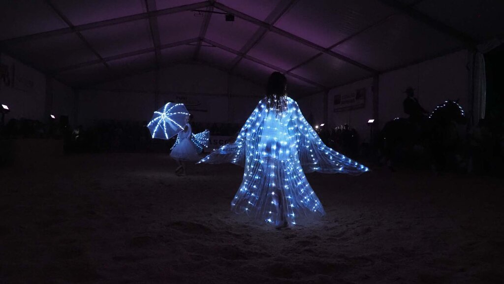  FEIRA AGRÍCOLA DA MURTOSA RECEBEU ESPETÁCULO EQUESTRE