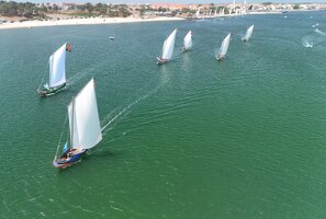 Grande Regata celebrou os Moliceiros